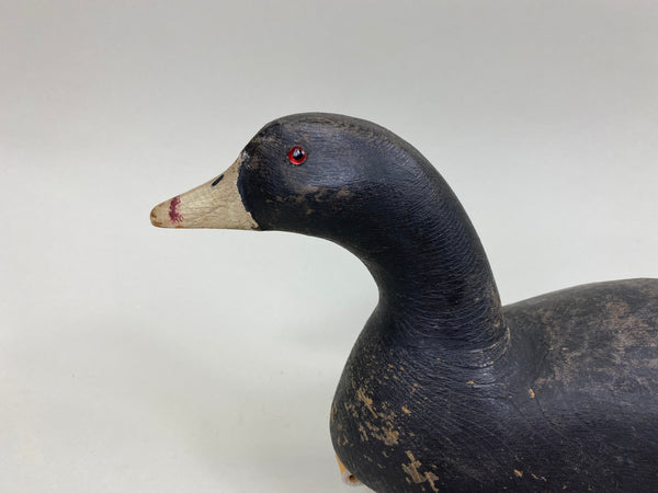 Ron Koch Coot Hunting Decoy (#6966)