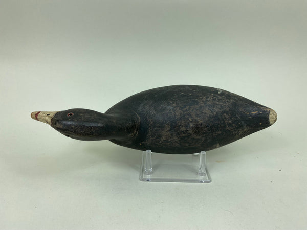 Ron Koch Coot Hunting Decoy (#6966)