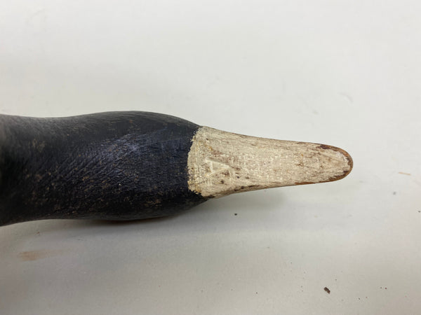 Ron Koch Coot Hunting Decoy (#6966)