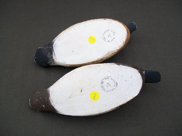 Animal Trap Blue Wing Teal Pair Stamped Excellent Condition