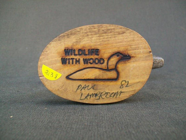 Yellow Legs Shorebird by Paul Lambrecht