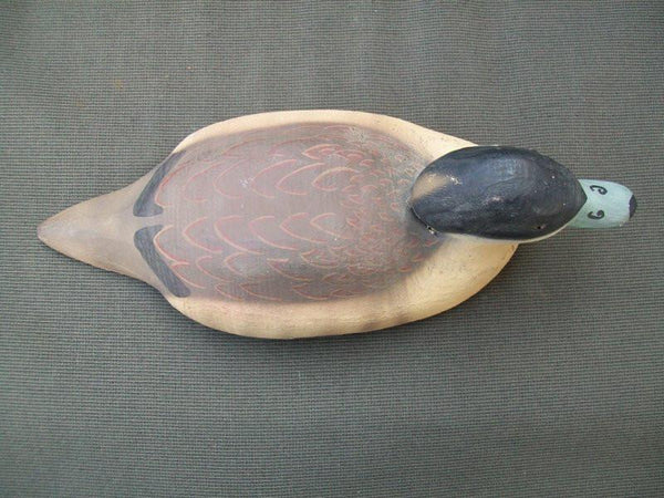 Herters 1893 Series Ruddy Duck
