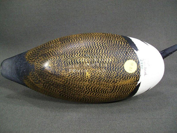 Virgil Lashbrook Hooded Merganser