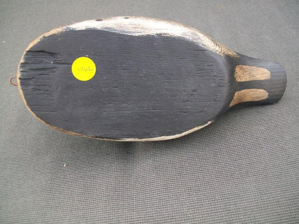 Preening Green Wing Teal- Dennis Entwistle