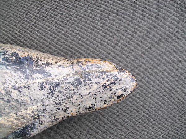 Evans Mammoth Mallard Drake