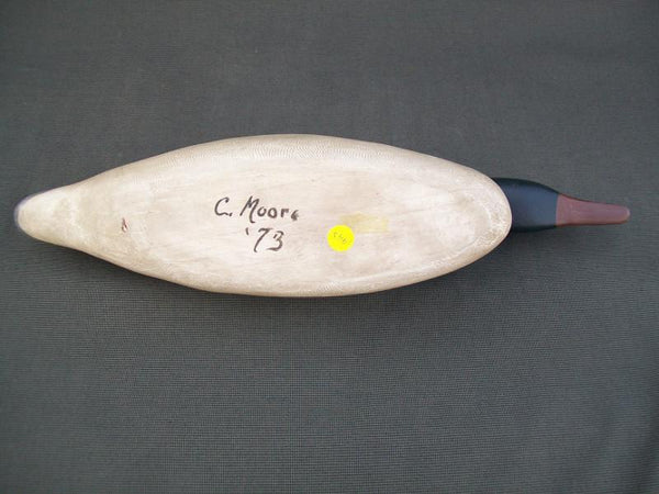 Charlie Moore Swimming Merganser