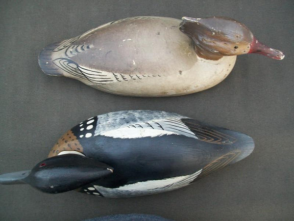 J.J. West Working Red Breasted Mergansers Pair