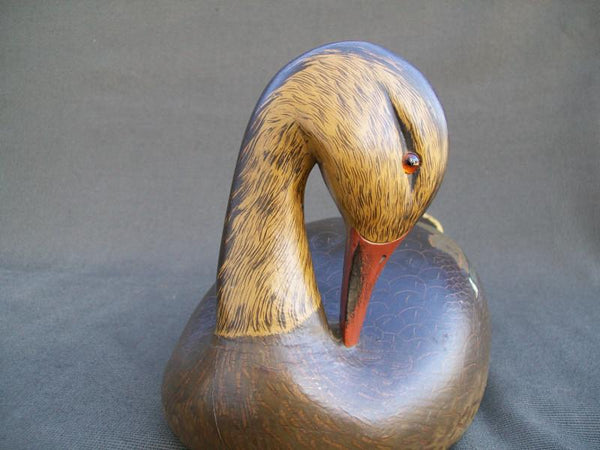 Ken Harris Mallard, Striking Head Position