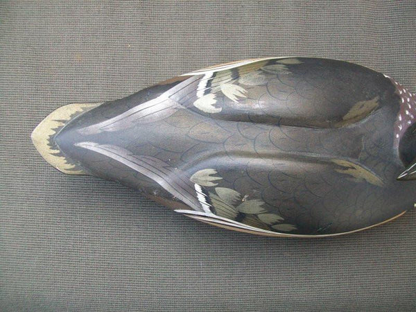 Ken Harris Wood Duck slightly turned head