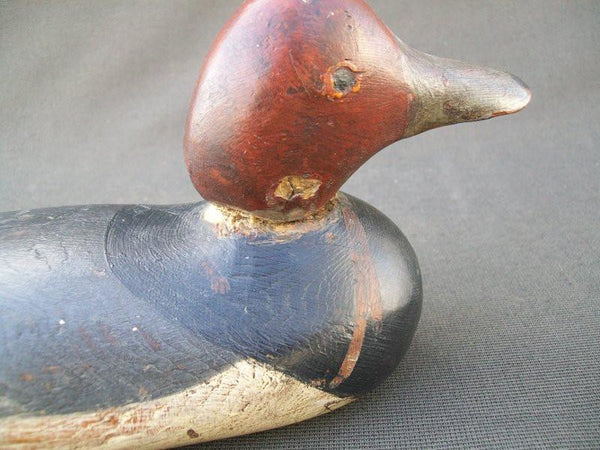 Mason Painted Eye Redhead