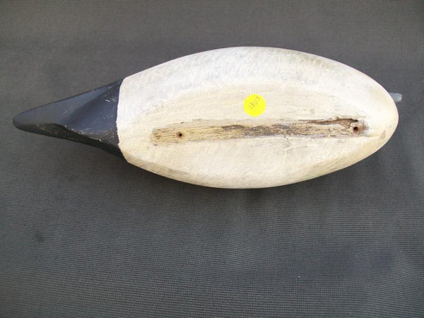 Illinois River Pintail