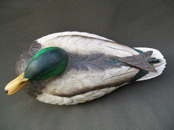 Ken Ingram Mallard Drake Raised Wings