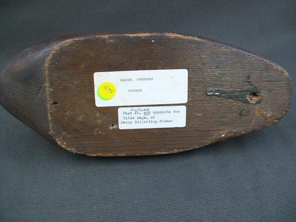 High Headed Canada Black Duck