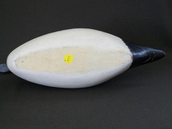 Robert Weeks Illinois River Pintail