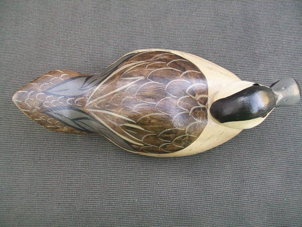 Ruddy Duck by Charles Moore