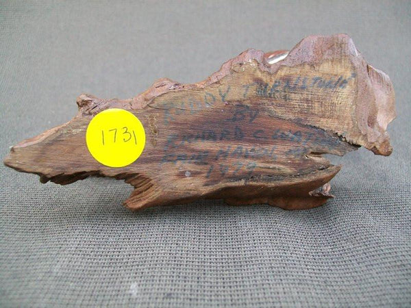 Standing Ruddy Turnstone