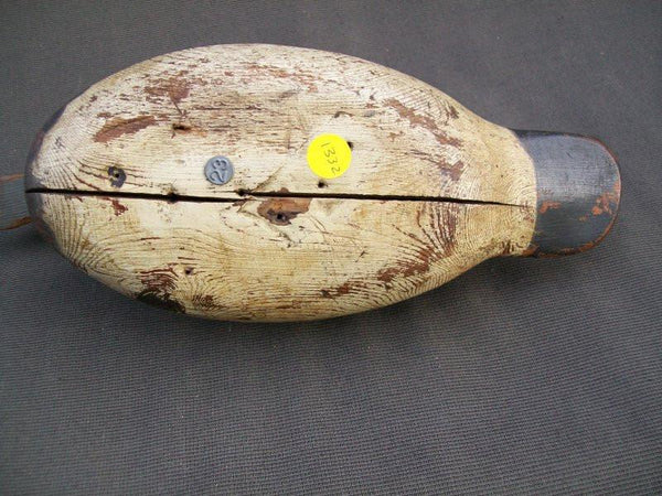 Hayes Blue Bill Drake