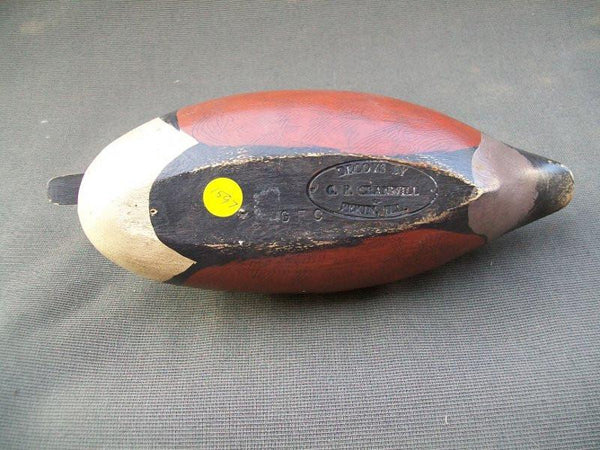 G.F. Cranwill Hooded Merganser, Pekin Illinois