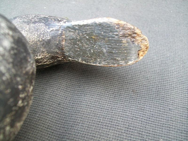 Evans Competition Grade Blue Bill