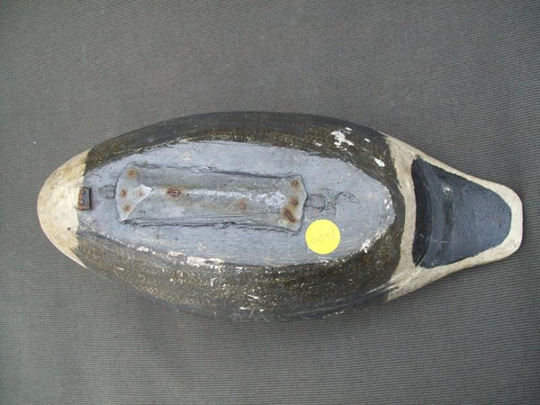 Illinois River Wilcoxen Pintail Drake with weight