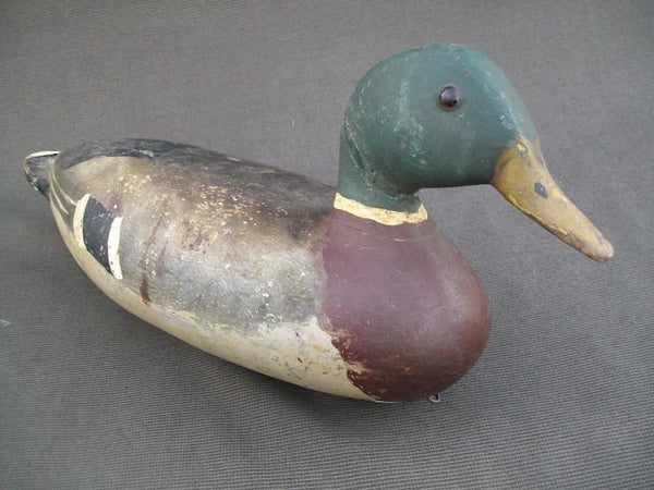 IIllinois River Mallard Lacon area