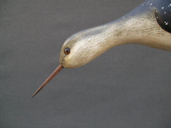 Jerry Siloski Feeding Shorebird - Decatur, Illinois