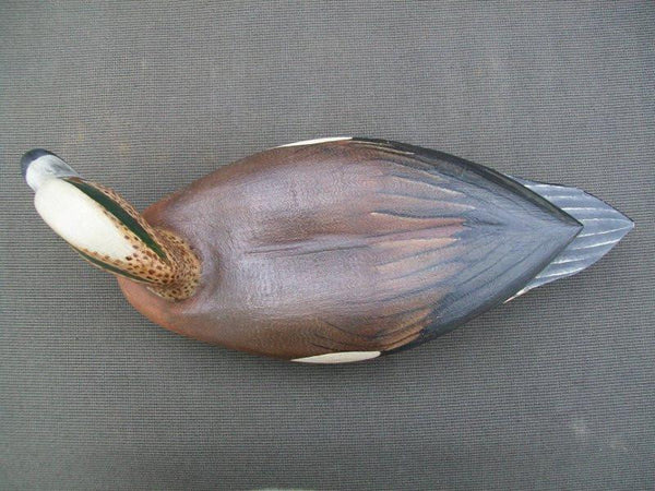 Wayne Meyer Widgeon