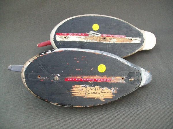 J.J. West Working Red Breasted Mergansers Pair