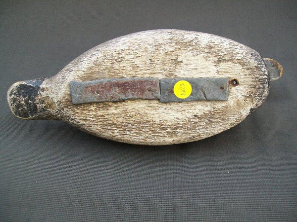 Evans Competition Grade Blue Bill