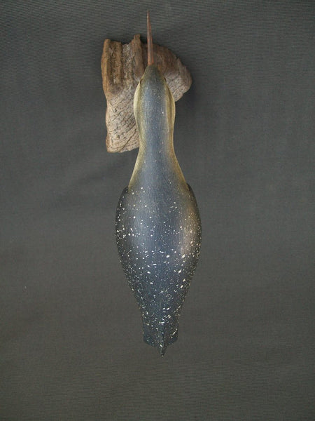 Jerry Siloski Feeding Shorebird - Decatur, Illinois