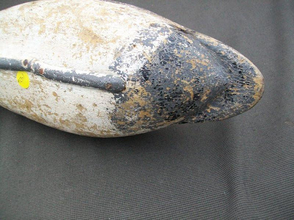 Illinois River Canvasback with weight