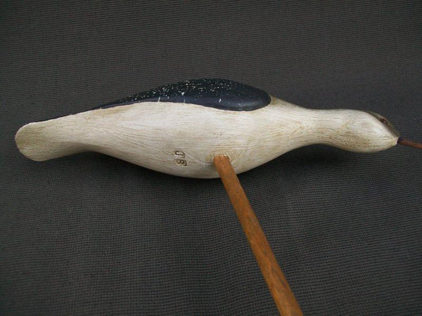 Jerry Siloski Feeding Shorebird - Decatur, Illinois