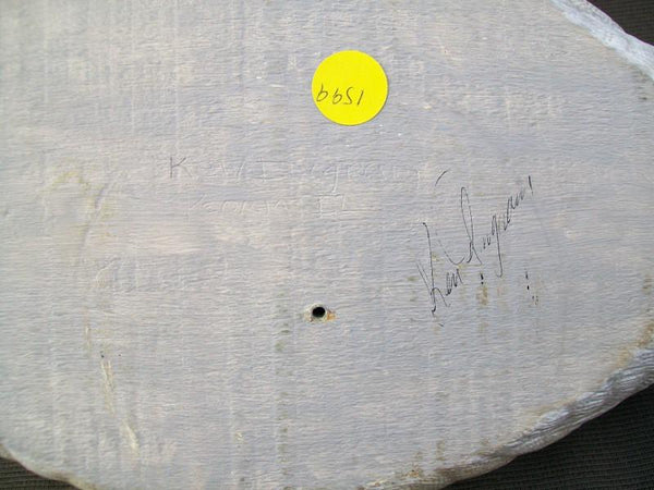 Ken Ingram Mallard Drake Raised Wings