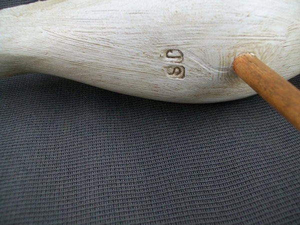 Jerry Siloski Feeding Shorebird - Decatur, Illinois