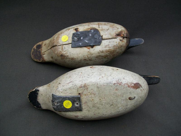 Rare Rigmate Pair of Mason Golden Eyes- Detroit Grade Tack-eyes