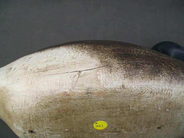 Mason Challenge Grade Brant