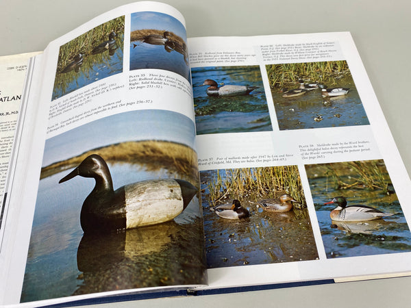 Decoys of the Atlantic Flyway by George Ross Starr, Jr., M.D.