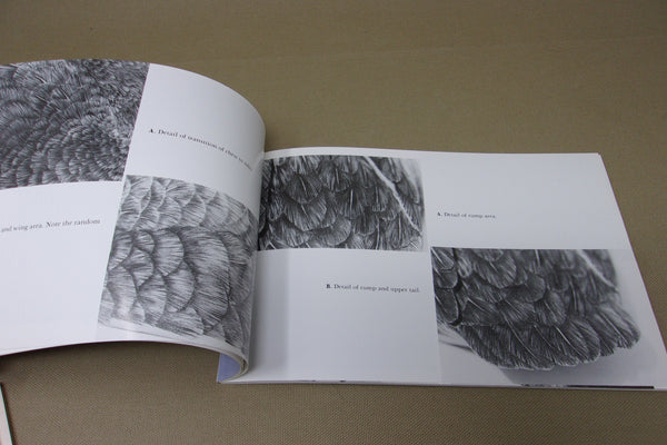 4 Books- Burning & Texturing Methods, Wild Fowl Decoys, Duck Book 1&2, & Waterfowl Reference Guide