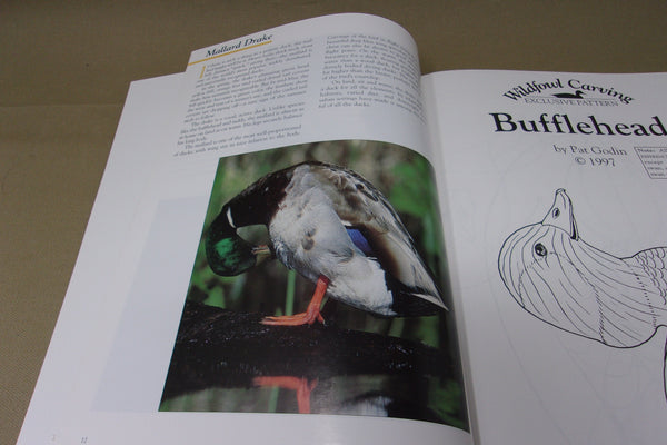 4 Books- Burning & Texturing Methods, Wild Fowl Decoys, Duck Book 1&2, & Waterfowl Reference Guide