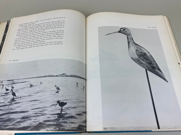 Lot of 2 Books- Gunners Paradise, and The Art of the Decoy: American Bird Carvings