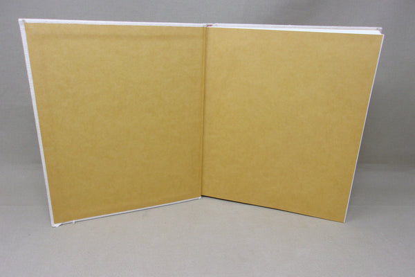 Decoys and Decoy Carvers of Illinois (Illinois River Book)