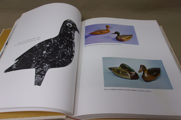 Decoys and Decoy Carvers of Illinois (Illinois River Book)