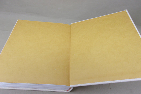 Decoys and Decoy Carvers of Illinois (Illinois River Book)