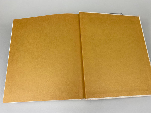 Decoys and Decoy Carvers of Illinois, Hard Cover