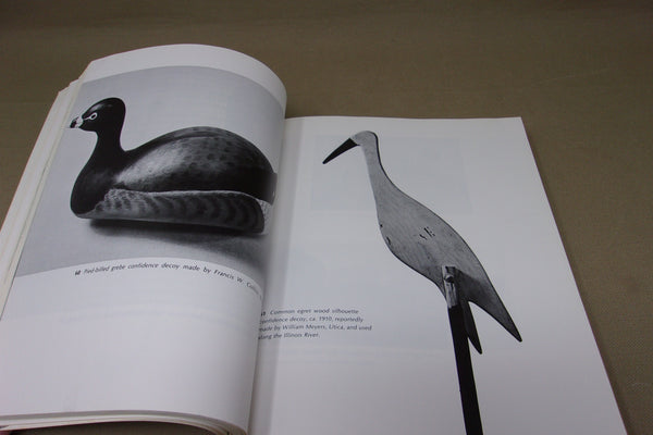 Decoy and Decoy Carvers of Illinois (Illinois River Book)