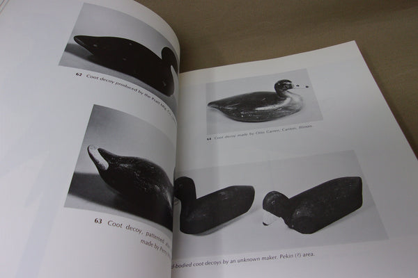 Decoys and Decoy Carvers of Illinois (Illinois River Book)