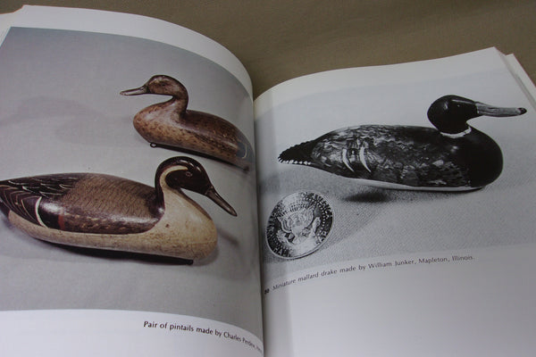 Decoys and Decoy Carvers of Illinois (Illinois River Book)