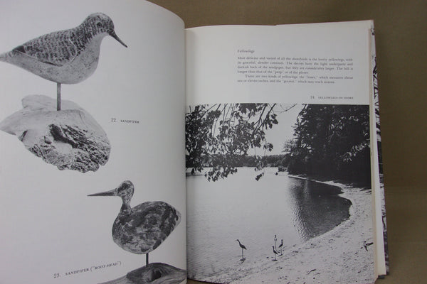 Lot of 3 Books - 2 Decoy Books and a Birding Book