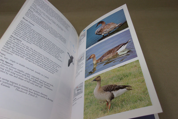 Lot of 3 Books - 2 Decoy Books and a Birding Book