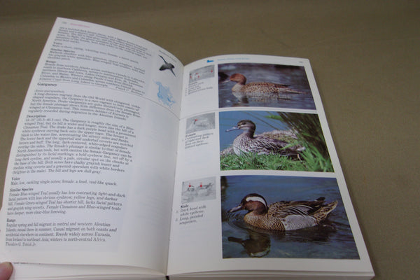 Lot of 3 Books - 2 Decoy Books and a Birding Book